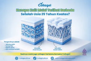 Apakah Produksi Collagen Menurun Setelah Usia 25?