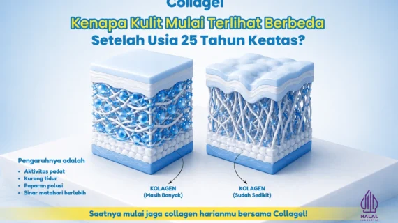 Apakah Produksi Collagen Menurun Setelah Usia 25?